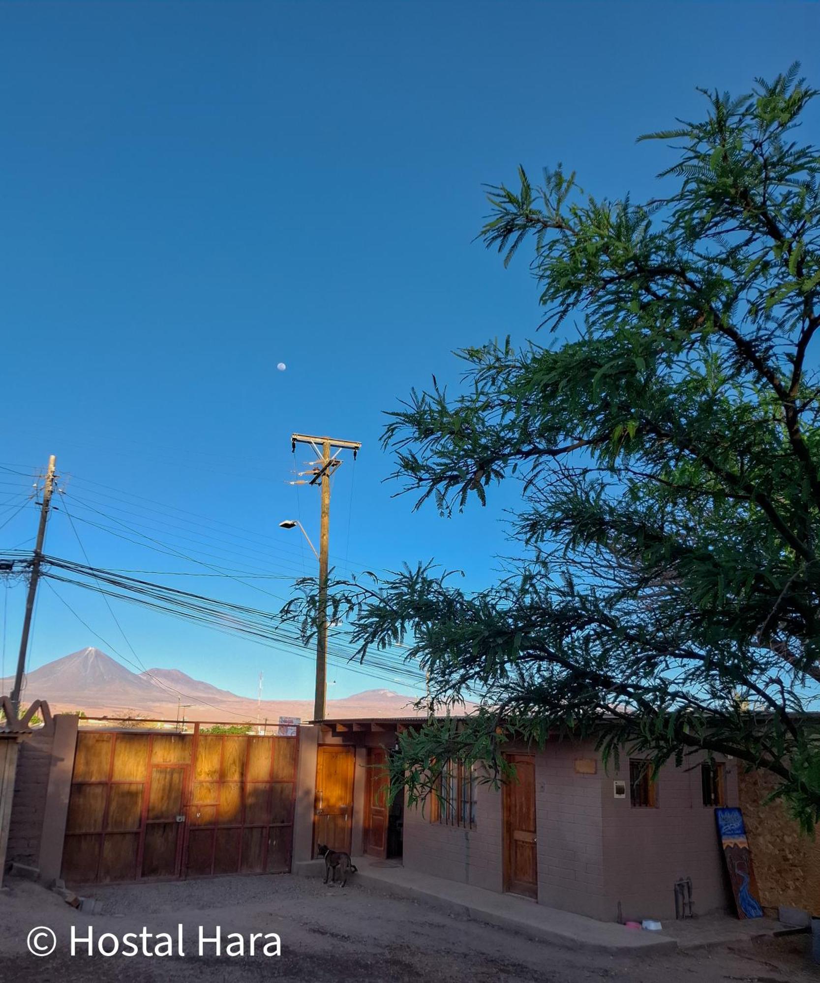 Hostal Hara San Pedro de Atacama Exterior photo